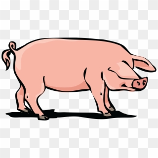 Free Clipart Of A Hog - Free Clipart Pig, HD Png Download