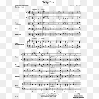 Tulip Tree Thumbnail Tulip Tree Thumbnail Tulip Tree - Carnaval Festival Sheet Music, HD Png Download