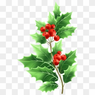 Free Png Christmas Mistletoe Png - Transparent Background Mistletoe Transparent, Png Download