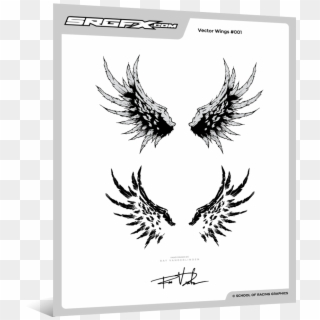 Hand Drawn Vector Wings - Accipitridae, HD Png Download
