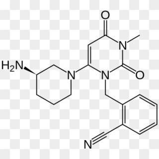 Insulin - Riboflavin, HD Png Download