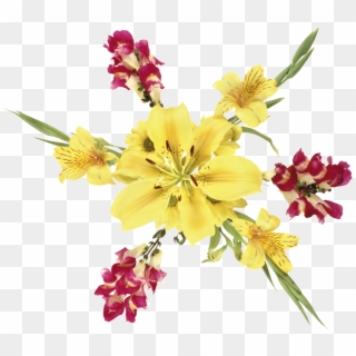 Imágenes De Flores Grandes En Png - Lily, Transparent Png