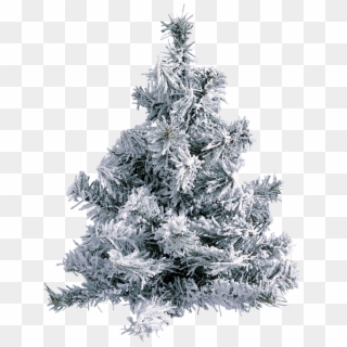 Me Gusta - - Snowy Pine Tree Png, Transparent Png