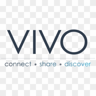 Png File Vivo Web Large V1, Transparent Png