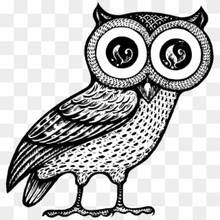 Jpg Free Library Conventional Wisdom Enlightened Interaction - Owl Of Athena Png, Transparent Png