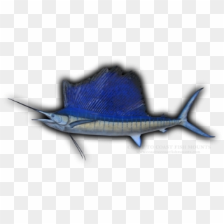 120 Sailfish Fish Mount Replica - Swordfish, HD Png Download