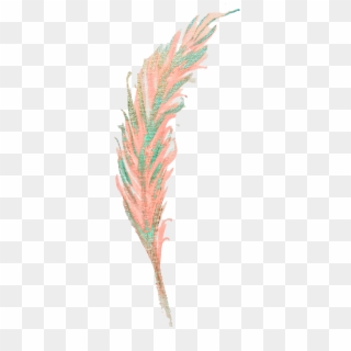 Watercolor Painting Feather Clip Art - Phragmites, HD Png Download