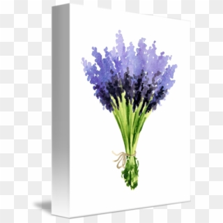 Lavender Bouquet Png - Bouquet, Transparent Png