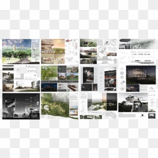 Picture - Collage, HD Png Download
