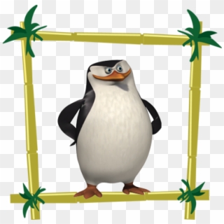 Skipper - Penguin From Madagascar, HD Png Download