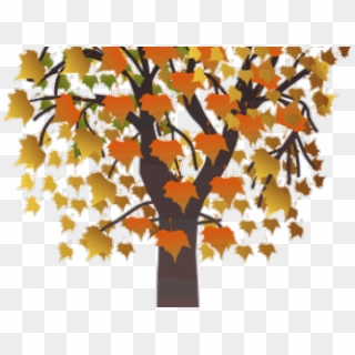 Draw A Maple Tree, HD Png Download