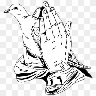 #rip #worship #hand #dove #peace #prayer #prayer #祈祷 - Praying Hands With Doves, HD Png Download