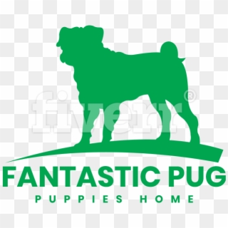 Fantastic Pug Puppies Home - Ancient Dog Breeds, HD Png Download