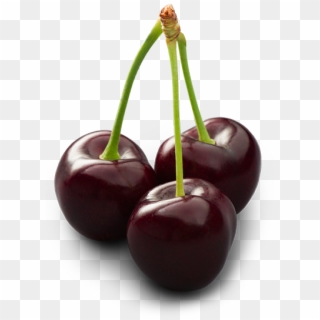 Dark Sweet Cherry - Dark Sweet Cherries Png, Transparent Png