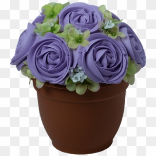 S-potted In Purple - Blue Rose, HD Png Download
