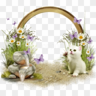 Free Png Cute Transparent Frame With White Kitten Background - Kitten Frame, Png Download