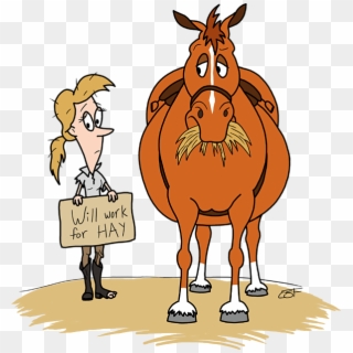 Bleed Area May Not Be Visible - New Forest Horses Funny, HD Png Download
