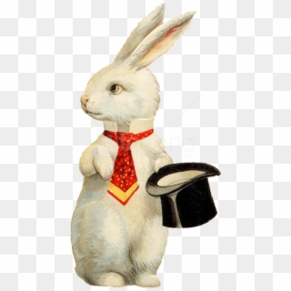 Free Png Rabbit Hat Png Background Image Png - Rabbit With Top Hat, Transparent Png