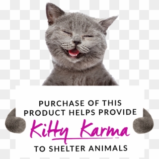 Kitty Karma 7 20 - Gato Sonriente Fondo Blanco, HD Png Download