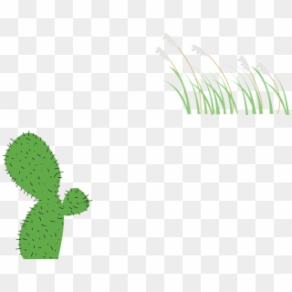 Plant Cactus Reed - กระบองเพชร Png, Transparent Png