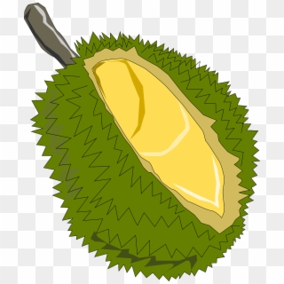 Jackfruit Fruit Exotic Soursop Png Image - Durian Clipart Png, Transparent Png