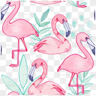 Greater Flamingo, HD Png Download