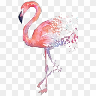 Flamingo Watercolor Painting Hd , Png Download - Flamingo Watercolor Poster, Transparent Png