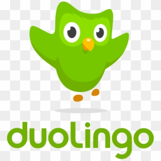 Duolingo Logo - Duolingo Logo Png, Transparent Png