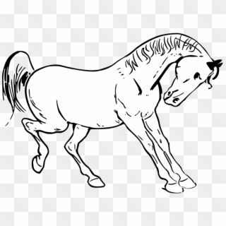 Horse Outline, HD Png Download