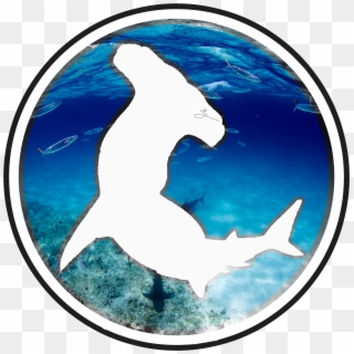 Transparent Png
