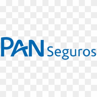 Pan Seguros Logo Novo - Panamericano, HD Png Download