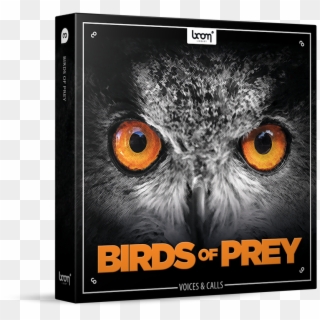 Birds Of Prey Sound Effects Library Product Box - Boom Library Cinematic Trailers Designed 2 Stereo, HD Png Download