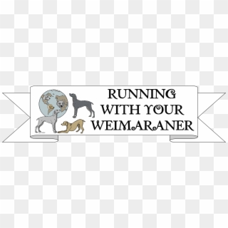 Healthy Running Ages For Weimaraners - Longdog, HD Png Download