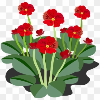 Clip Art Flor Flora Flower Nature Plant - Flowering Plants Clipart, HD Png Download