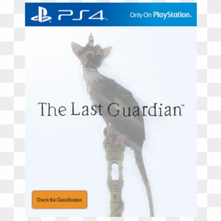 The Last Guardian On Ps4 - Shadow Of The Colossus Capa Japan, HD Png Download