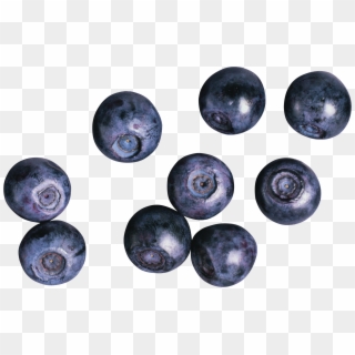Blueberries - Ягоды Пнг, HD Png Download