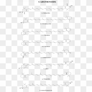 Chemical Structure Of The Main Carotenoids Found In - Handwriting, HD Png Download