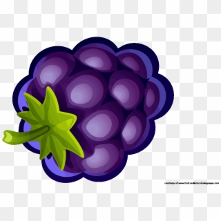 9 Fascinating Blueberry Fruit Clipart - Illustration, HD Png Download