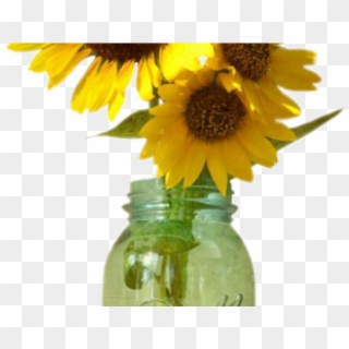 Drawn Mason Jar Sunflower Png - Mason Jar With Sunflowers Png, Transparent Png