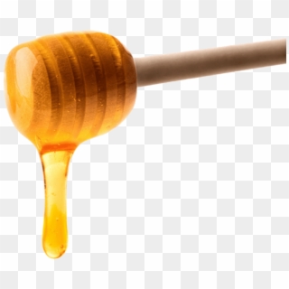 Honey Png PNG Transparent For Free Download - PngFind