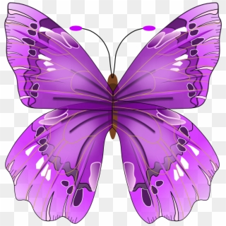 Mor Kelebek Png - Purple Butterfly No Background, Transparent Png