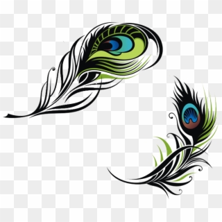 矢量手绘精美孔雀羽毛 - Vector Peacock Feather Logo Png, Transparent Png