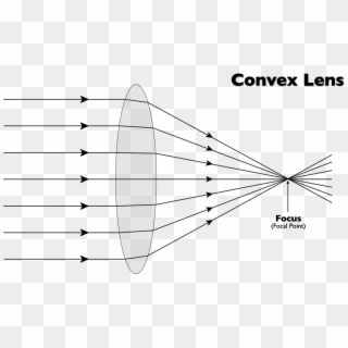 For A Convex Lens Light Rays Parallel And Close To - Simple Convex Lens Ray Diagram, HD Png Download