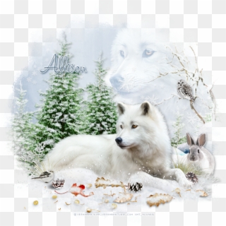 For My Tag With Wolf I Used Kits By Newlife Dreams - Canis Lupus Tundrarum, HD Png Download