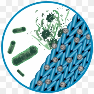 Antimicrobial Grafik Hygenic Klein - Circle, HD Png Download
