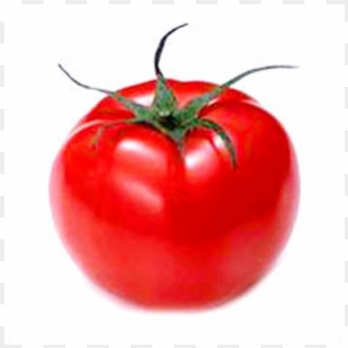 Tip Banner 4 - Plum Tomato, HD Png Download