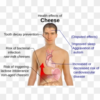 Health Effects Of Cheese - Disadvantages Of Cheese, HD Png Download