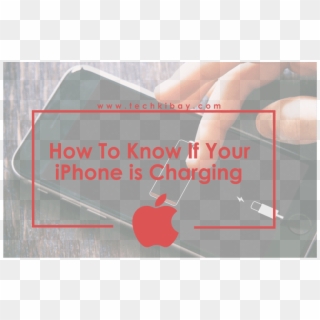 How To Know Iphone Charging - Fruit, HD Png Download