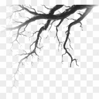 Branches Drawing Nature - Tree Drawing Horror, HD Png Download