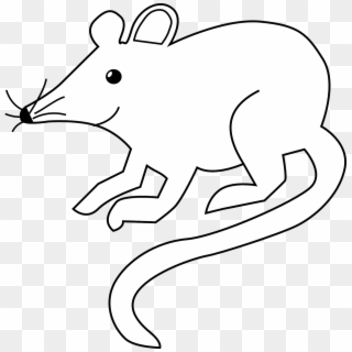 Mouse, Rodent, Rat, Field Mouse, Pest, Lab Rat - Rat Black And White Clipart, HD Png Download